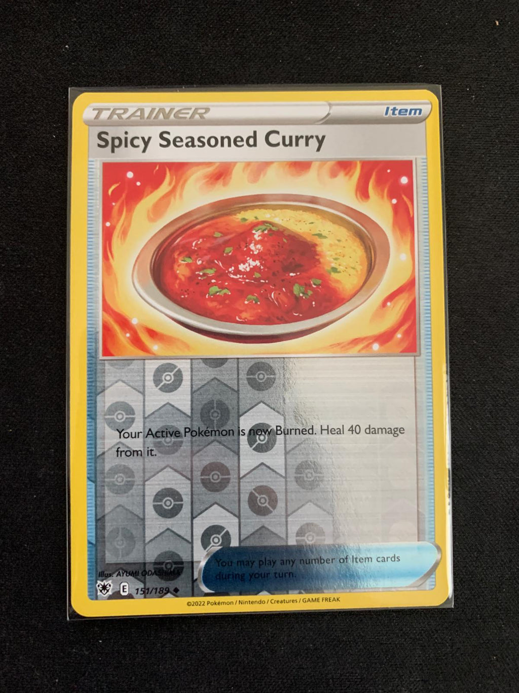 Spicy Seasoned Curry