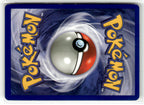 Imposter Professor Oak (Back)