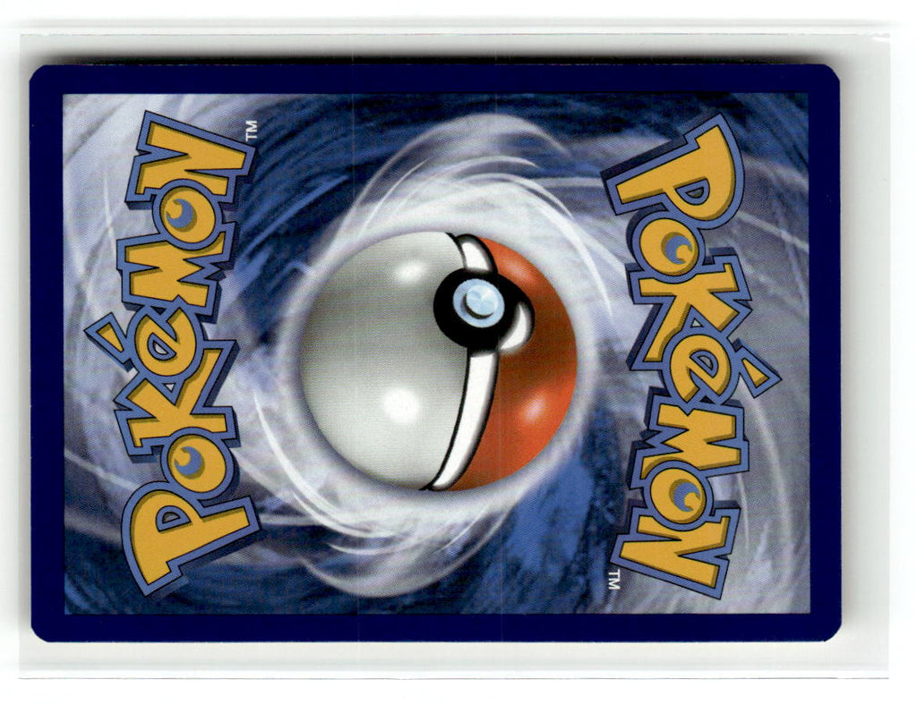 Zapdos (Back)