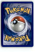 Blaziken (Back)
