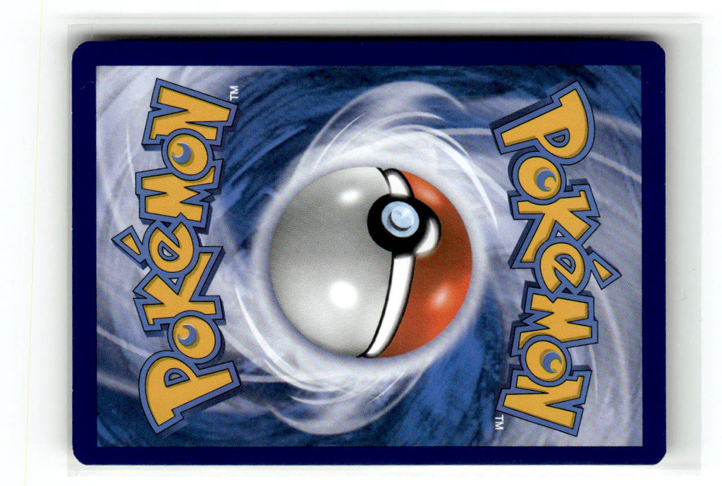 Seel (Back)