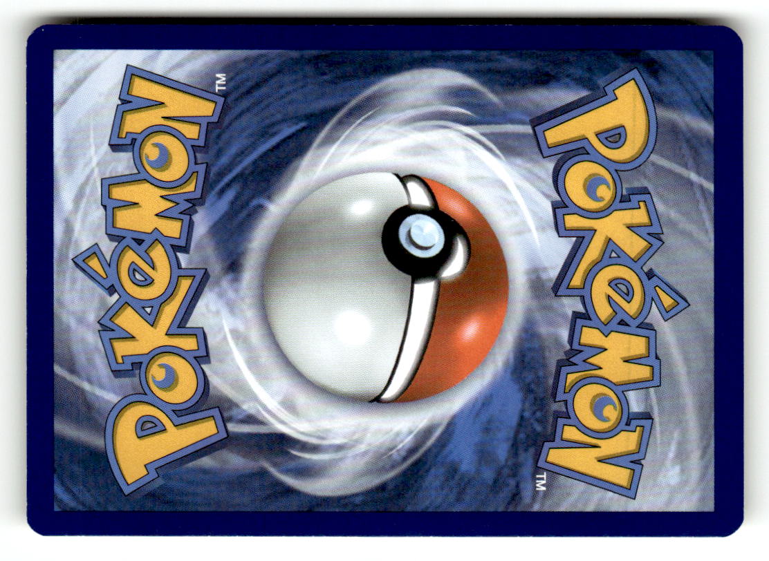 Swinub (Back)