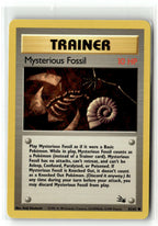 Mysterious Fossil