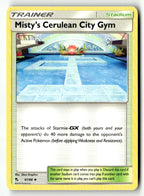 Misty's Cerulean City Gym