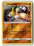 Passimian