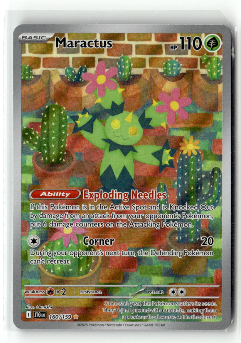 Maractus - 160/159