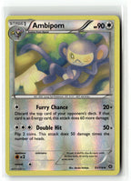 Ambipom