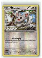 Minccino (86)