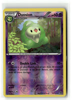 Duosion
