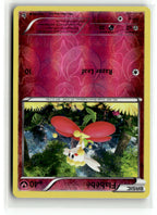 Flabebe (63)