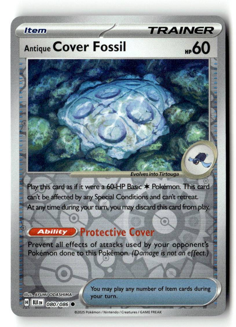 Antique Cover Fossil