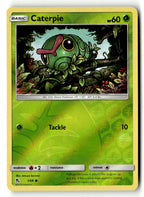 Caterpie