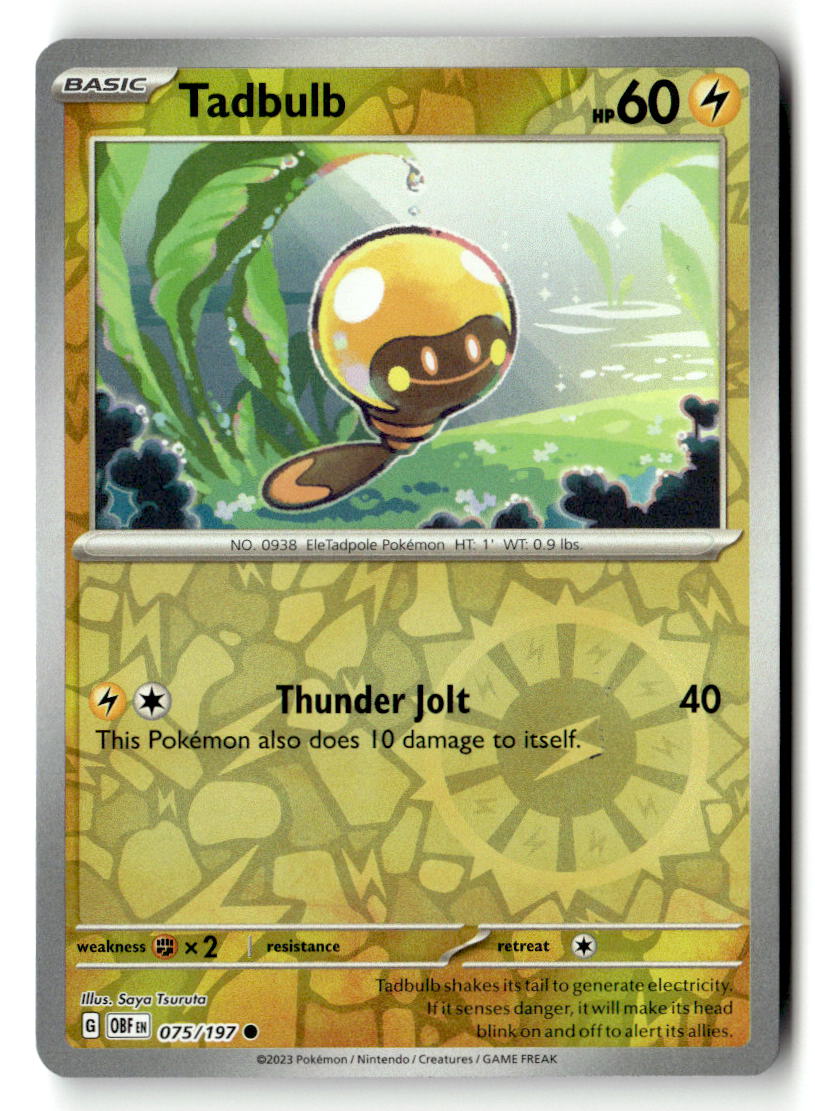 Tadbulb 075/197