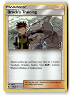 Brock's Training